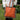Trendy oranje schoudertas met ruffles en luipaard print