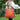 Trendy oranje schoudertas met ruffles en luipaard print