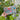 Fuchsia Flora Toiletry Bag