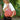 Terra Garden Duffle Bag