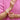 grote imitatieparel elastiche armband wit statement