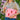 laptopcover roze kreeften katoen rits